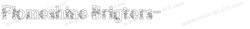 Flomeshine Brigters字体转换
